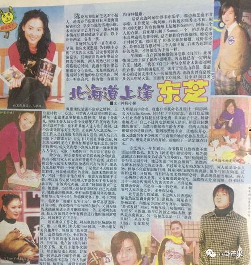 娱乐圈吃瓜爆料小说阅读,幕后风云，瓜田乱舞  第2张